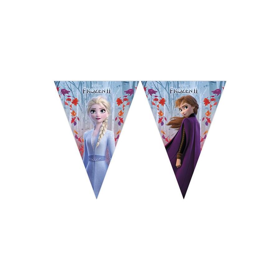 Flaggvimpel Frozen 2